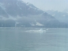 cruise-047