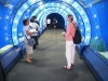 osaka_aquarium